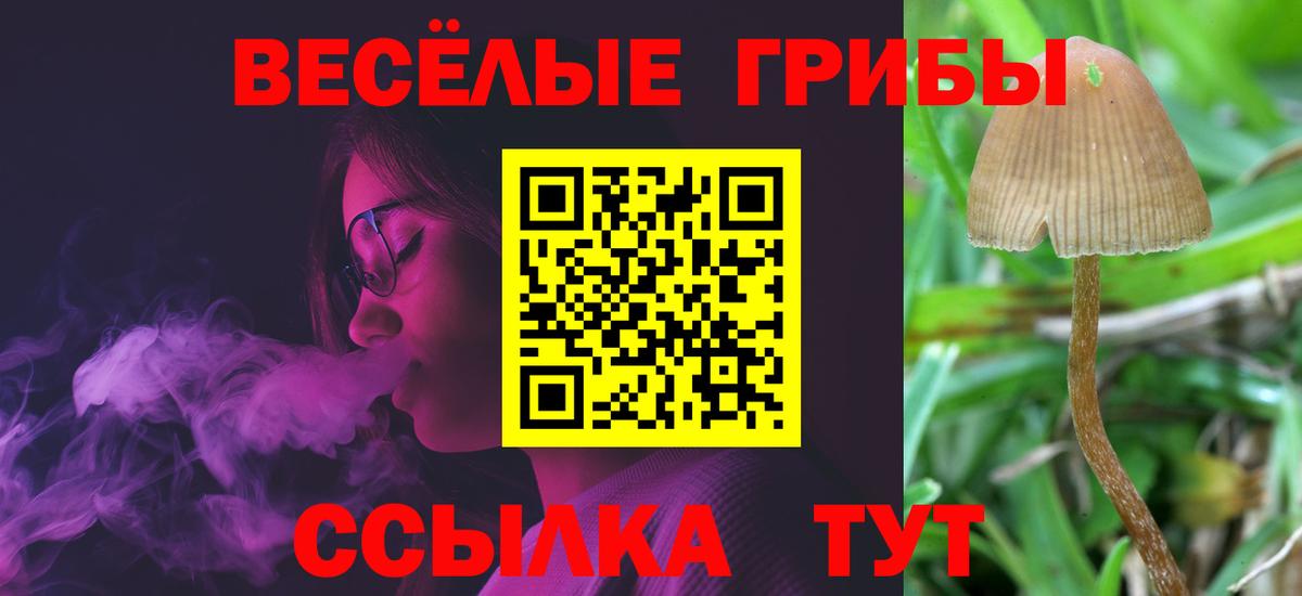 Псилоцибиновые грибы ЛСД Переславль-Залесский